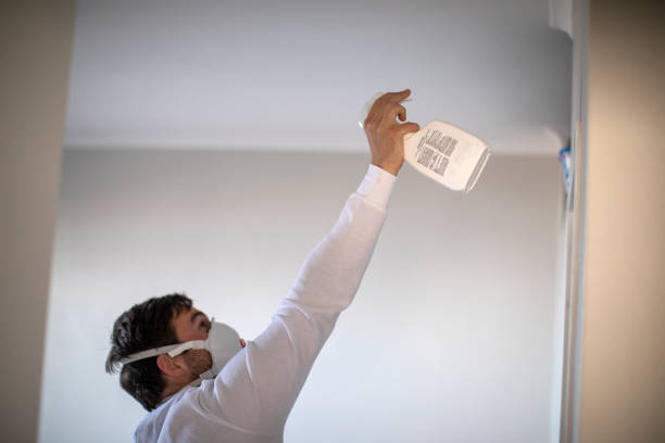 Best Professional Mold Removal  in Edina, MO