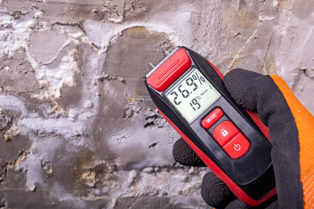 Best Office Mold Removal Services  in Edina, MO