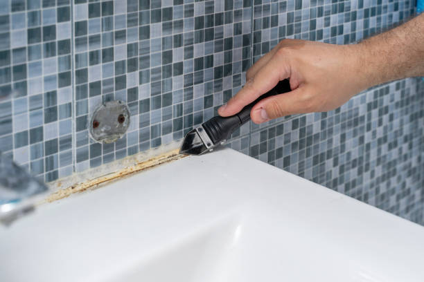 Best Commercial Mold Removal  in Edina, MO